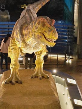 福井県立恐竜博物館に投稿された画像（2025/4/18）