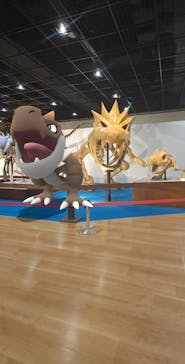 福井県立恐竜博物館に投稿された画像（2025/4/18）