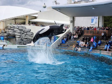 鴨川シーワールドに投稿された画像（2025/4/18）