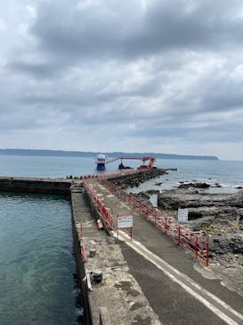 串本海中公園水族館に投稿された画像（2025/4/18）
