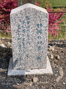 有限会社ヤマタカ櫻井製茶に投稿された画像（2025/4/18）