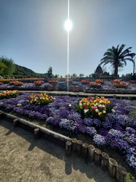 レオマリゾートに投稿された画像（2025/4/18）