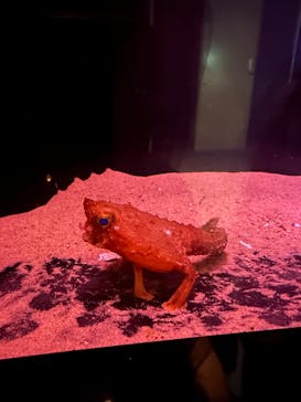 名古屋港水族館に投稿された画像（2025/4/18）