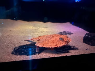 名古屋港水族館に投稿された画像（2025/4/18）