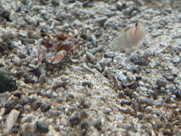 名古屋港水族館に投稿された画像（2025/4/18）