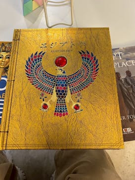 IMMERSIVE JOURNEYに投稿された画像（2025/4/18）