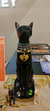 IMMERSIVE JOURNEYに投稿された画像（2025/4/18）