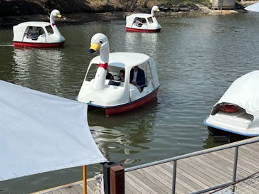 淡路ファームパーク イングランドの丘に投稿された画像（2025/4/18）