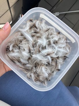 サンシャイン水族館に投稿された画像（2025/4/19）