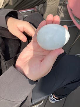 サンシャイン水族館に投稿された画像（2025/4/19）