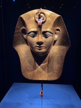 ACN ラムセス大王展 ファラオたちの黄金に投稿された画像（2025/4/19）