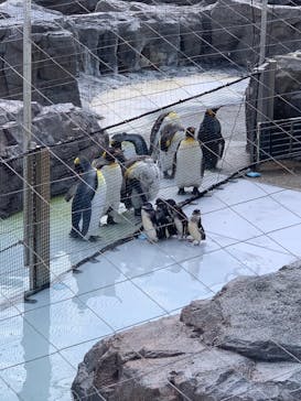 葛西臨海水族園に投稿された画像（2025/4/19）