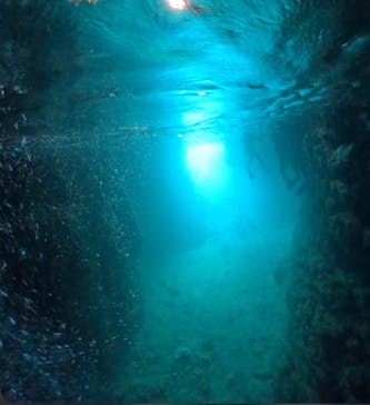 武藤潜水に投稿された画像（2025/4/19）