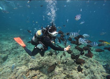 武藤潜水に投稿された画像（2025/4/19）