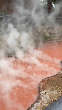 べっぷ地獄めぐりに投稿された画像（2025/4/19）