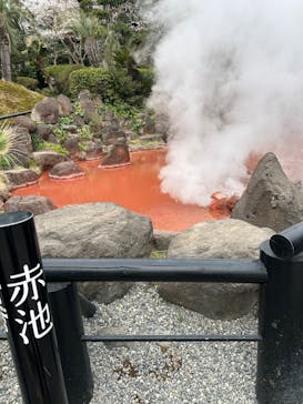 アソビュー！ポイントに投稿された画像（2025/4/19）