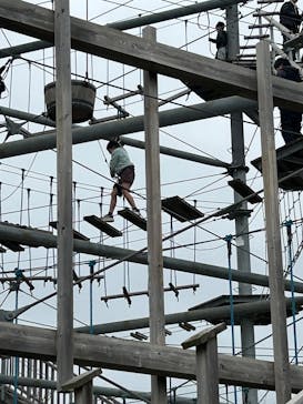 滋賀農業公園ブルーメの丘に投稿された画像（2025/4/19）