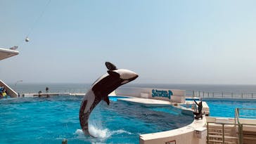 鴨川シーワールドに投稿された画像（2025/4/19）