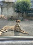 多摩動物公園に投稿された画像（2025/4/19）