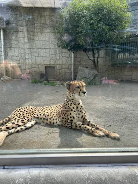 多摩動物公園に投稿された画像（2025/4/19）