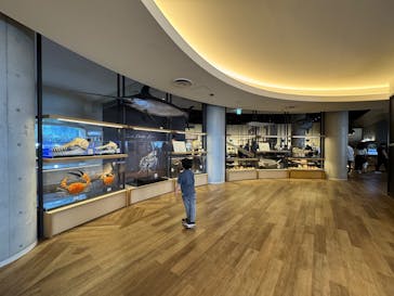 アクアワールド茨城県大洗水族館に投稿された画像（2025/4/19）