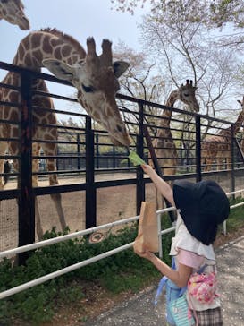宇都宮動物園に投稿された画像（2025/4/19）