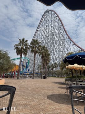 ナガシマスパーランドに投稿された画像（2025/4/19）