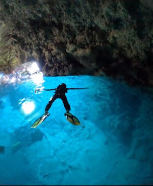 武藤潜水に投稿された画像（2025/4/19）