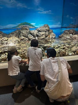 しながわ水族館に投稿された画像（2025/4/19）