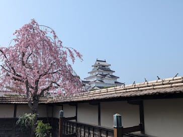 鶴ヶ城に投稿された画像（2025/4/19）