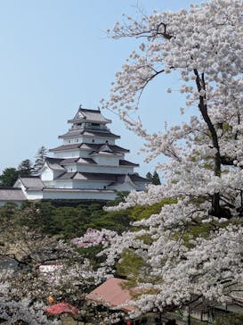 鶴ヶ城に投稿された画像（2025/4/19）