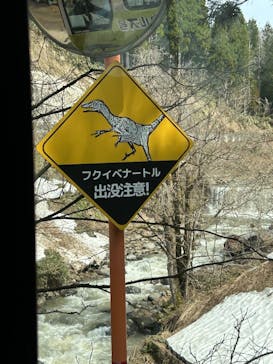 福井県立恐竜博物館に投稿された画像（2025/4/19）