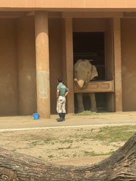 名古屋市東山動植物園に投稿された画像（2025/4/19）
