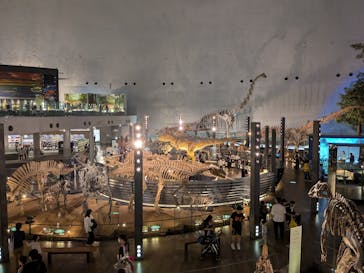 福井県立恐竜博物館に投稿された画像（2025/4/19）