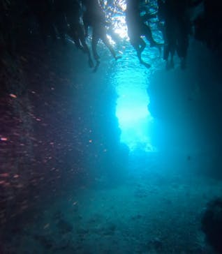 武藤潜水に投稿された画像（2025/4/19）