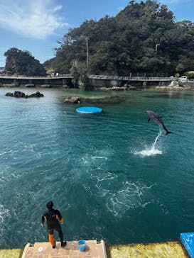 下田海中水族館に投稿された画像（2025/4/19）