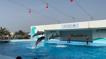 南知多ビーチランド＆南知多おもちゃ王国に投稿された画像（2025/4/19）