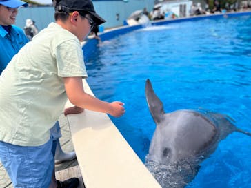 南知多ビーチランド＆南知多おもちゃ王国に投稿された画像（2025/4/19）