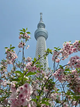 東京スカイツリーに投稿された画像（2025/4/19）