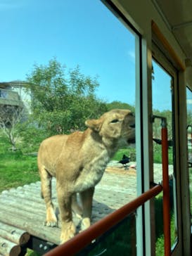東京動物園協会_多摩動物公園に投稿された画像（2025/4/19）