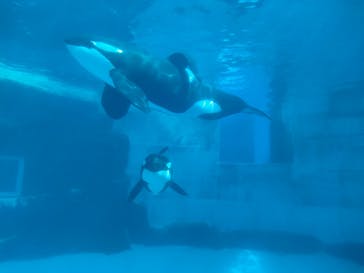 名古屋港水族館に投稿された画像（2025/4/19）