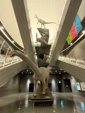 福井県立恐竜博物館に投稿された画像（2025/4/19）