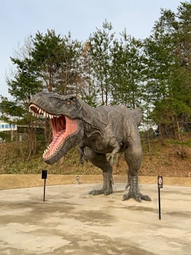 福井県立恐竜博物館に投稿された画像（2025/4/19）