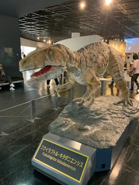 福井県立恐竜博物館に投稿された画像（2025/4/19）