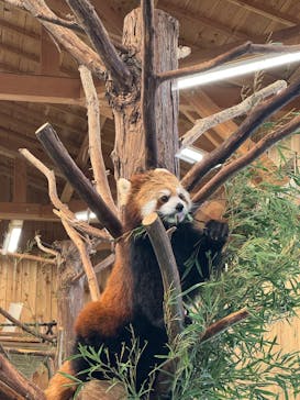 伊豆シャボテン動物公園に投稿された画像（2025/4/19）