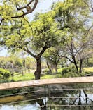 天王寺動物園に投稿された画像（2025/4/19）