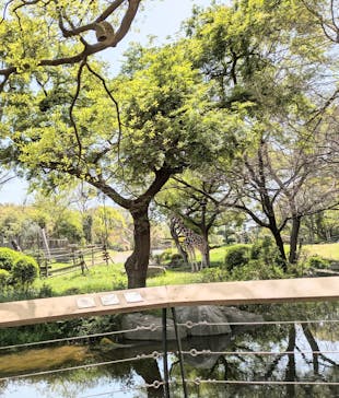 天王寺動物園に投稿された画像（2025/4/19）