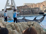 名古屋港水族館に投稿された画像（2025/4/19）