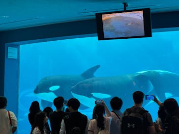 名古屋港水族館に投稿された画像（2025/4/19）