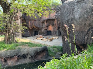 天王寺動物園に投稿された画像（2025/4/19）